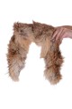 Guler de vulpe 24.00