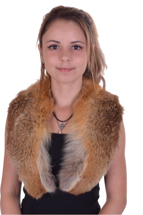 Guler de vulpe 40.00